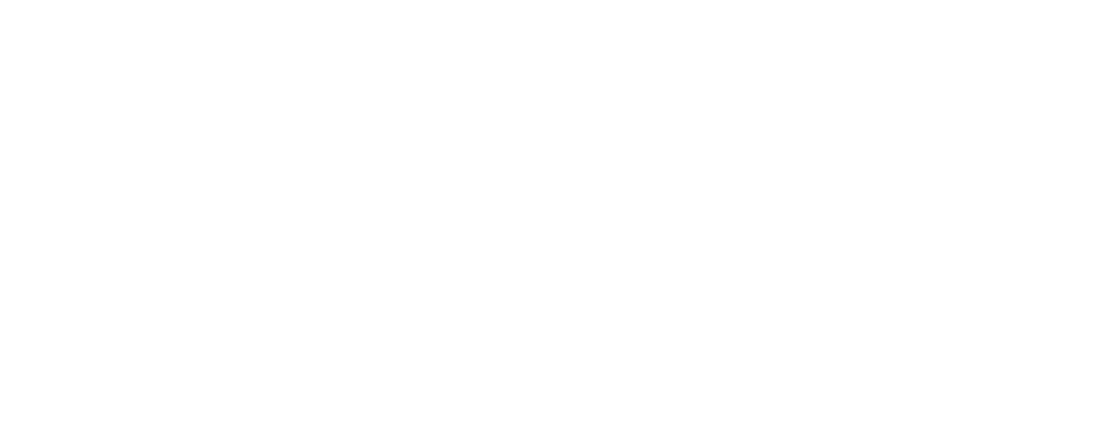 The Dirac Equation